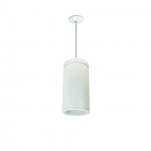 Nora NYLD2-6P10135WWW4 - 6&#34; Cobalt Pendant Mount Cylinder, White, 1000L, 3500K, White/White Reflector, 120V