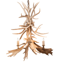 Meyda Blue 212272 - 28&#34; Wide Antlers White Tail & Fallow Deer 4 Light Chandelier