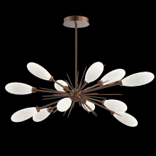 Hammerton PLB0071-0A-BB-WL-001-L3 - Fiori Oval Starburst Chandelier 50&#34;