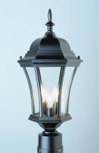 Trans Globe 4504 RT - Burlington 1-Light Metal and Glass Post Mount Lantern Head