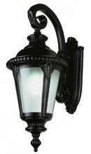 Trans Globe 5044 BK - Commons 25&#34; Wall Lantern