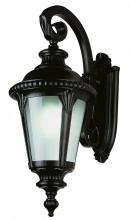 Trans Globe 5045 BK - Commons 29&#34; Wall Lantern