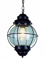 Trans Globe 69903 BK - Catalina 13.5&#34; Hanging Lantern Light