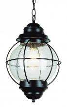 Trans Globe 69906 BK - Catalina 19&#34; Hanging Lantern Pendant Light