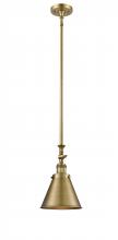 Innovations Lighting 206-BB-M13-BB - Appalachian - 1 Light - 8 inch - Brushed Brass - Stem Hung - Mini Pendant