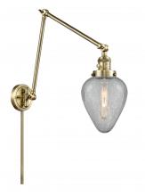 Innovations Lighting 238-AB-G165-LED - Geneseo - 1 Light - 8 inch - Antique Brass - Swing Arm