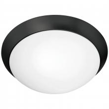 Access 20624-MBL/OPL - Flush Mount