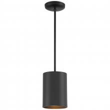 Access 29006-MBL - Pendant