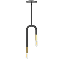 Dainolite WAN-152P-MB-AGB - 2 Light Incandescent Pendant, Matte Black and Aged Brass